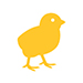 Outline of a baby chick