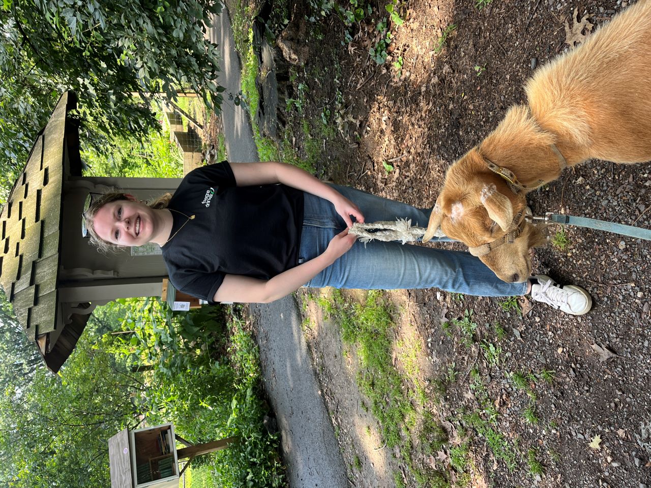 Katherine Tanis is outside with a tan goat that is walking